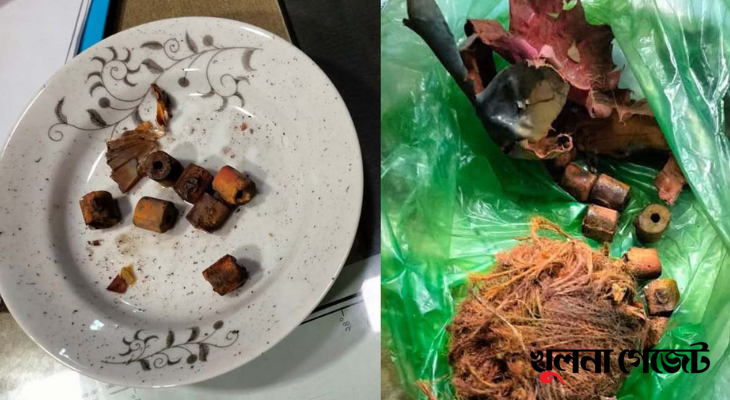নওয়াপাড়ায় ব্যবসা প্রতিষ্ঠানে বোমা হামলা, আহত ২