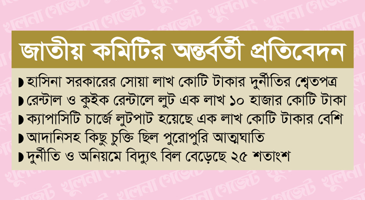 বিদ্যুৎ ও জ্বালানিতে লোপাট তিন বিলিয়ন ডলার