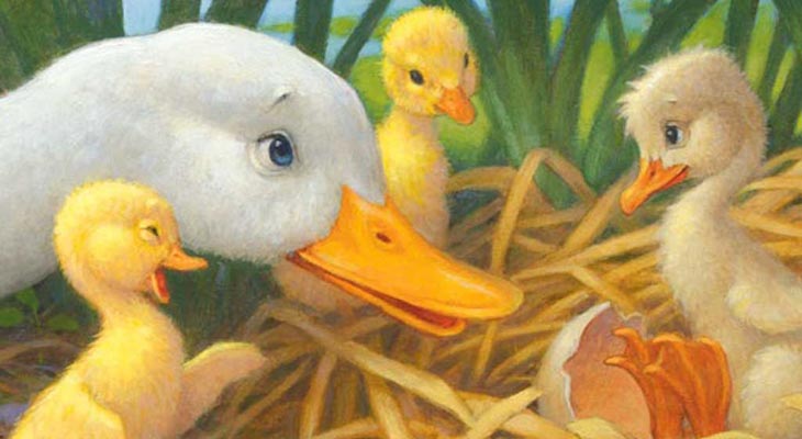 হাঁসের ছানা