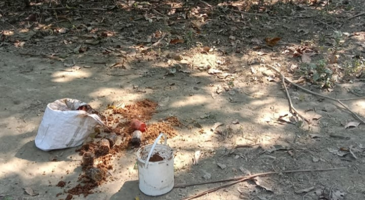 শার্শায় কবরস্থান থেকে ৬টি ককটেল উদ্ধার