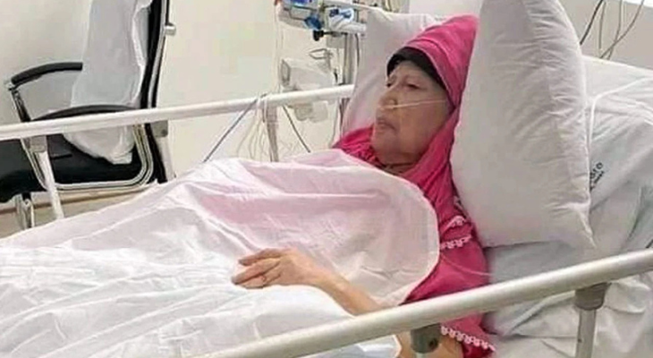 হাসপাতালে খালেদা জিয়াকে দেখতে মির্জা ফখরুল ও আমির খসরু