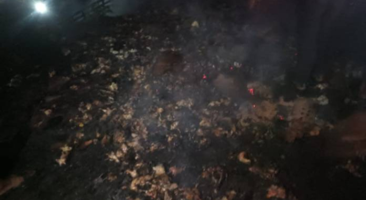 যশোরে ট্রাকে আগুনে পুড়ে ৩০ হাজার মুরগির বাচ্চা ছাই