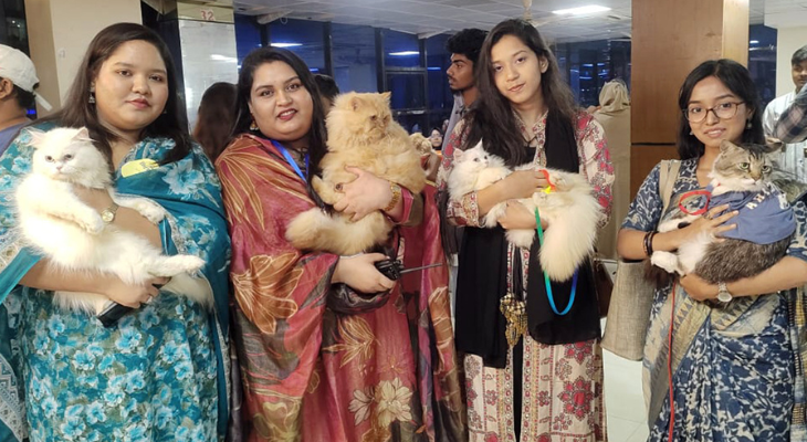 নগরীতে বিড়ালপ্রেমীদের মিলনমেলা