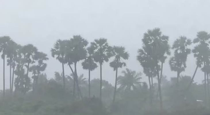 তামিলনাডু-অন্ধ্রপ্রদেশ-পুদুচেরিতে রেড অ্যালার্ট, বাতিল অর্ধশতাধিক ফ্লাইট