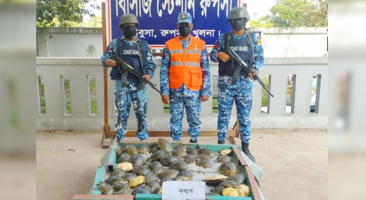 রূপসায় বাস থেকে বিরল প্রজাতির ৬২ কচ্ছপ উদ্ধার