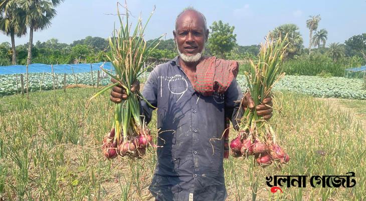 কেশবপুরে গ্রীষ্মকালীন পেঁয়াজ চাষে আগ্রহ বাড়ছে কৃষকদের