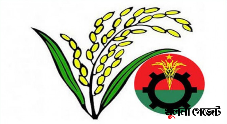 খুলনা বিভাগের ৩৫ আসনের ২৬টিতে ধানের শীষ পেলেন যারা