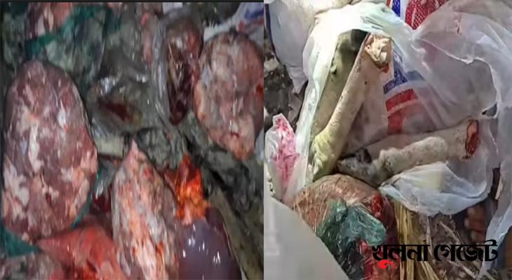 শরণখোলায় বিপুল পরিমাণ রোগাক্রান্ত গরু মাংস উদ্ধার