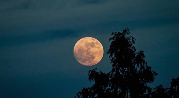 আজ দেখা যাবে ‘বিভার সুপারমুন’, বছরের সবচেয়ে বড় ও উজ্জ্বল চাঁদ