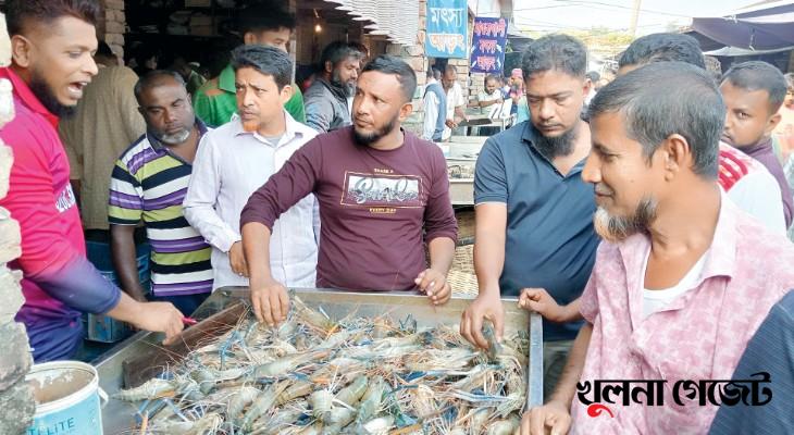 গলদা উৎপাদনে শীর্ষে ডুমুরিয়া, রপ্তানি হবে আমেরিকায়
