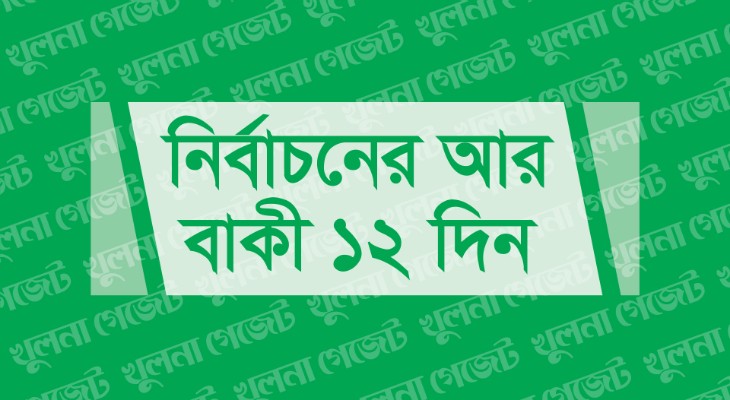 পোস্টার ছাড়া নির্বাচন একেবারেই নিরামিষ