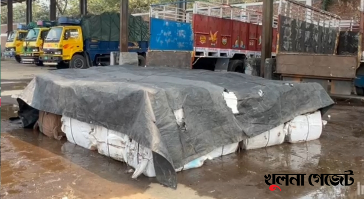 বেনাপোলে মিথ্যা ঘোষণার ৩০ লাখ টাকার ইলিশের চালান আটক