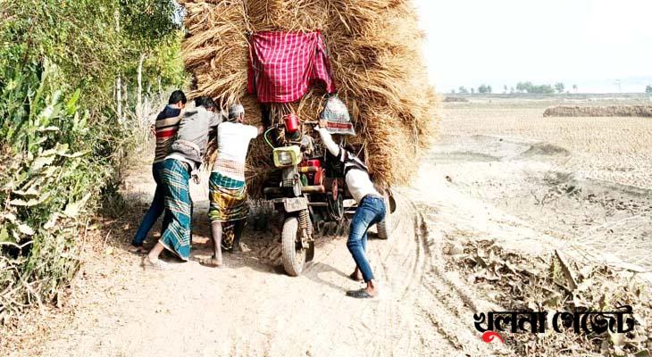 সুরখালীর-বারআড়িয়া সড়ক যেন মরণফাঁদ