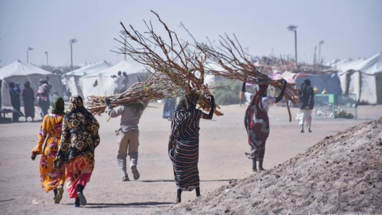 সুদানের হাসপাতালে হামলা, ১৩ শিশুসহ নিহত ৬৪