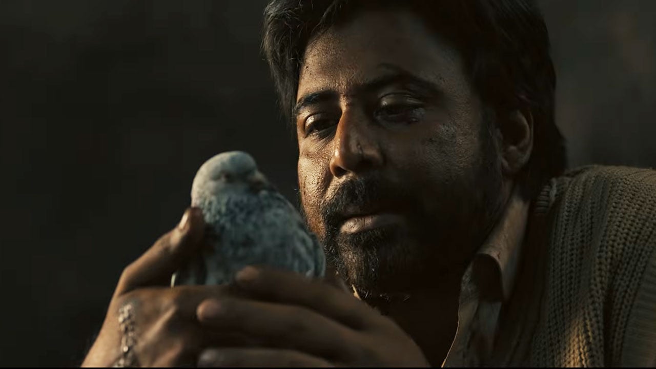 কোটির ঘরে আফরান নিশোর দম, শাকিব-সিয়ামরা কোথায়?