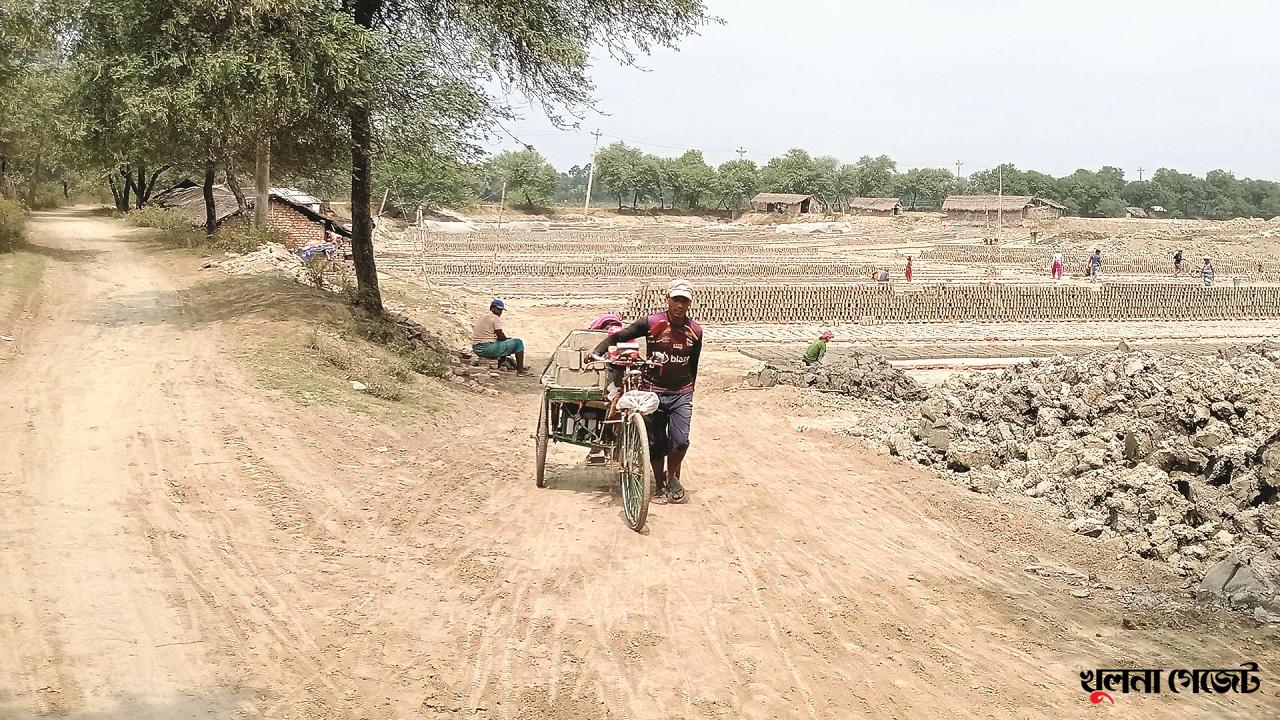 অবৈধ ইটভাটা গিলে খাচ্ছে পাউবো’র বাঁধ!