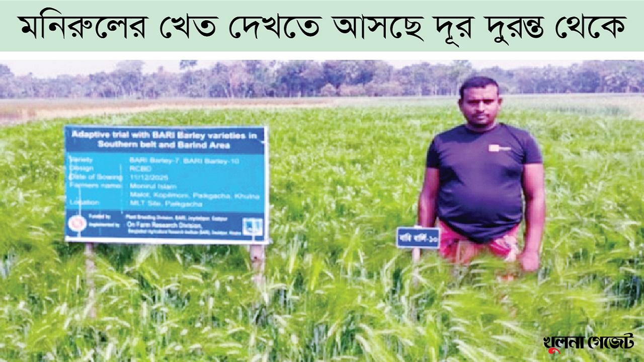 বার্লি চাষে নতুন সম্ভাবনা পাইকগাছায়