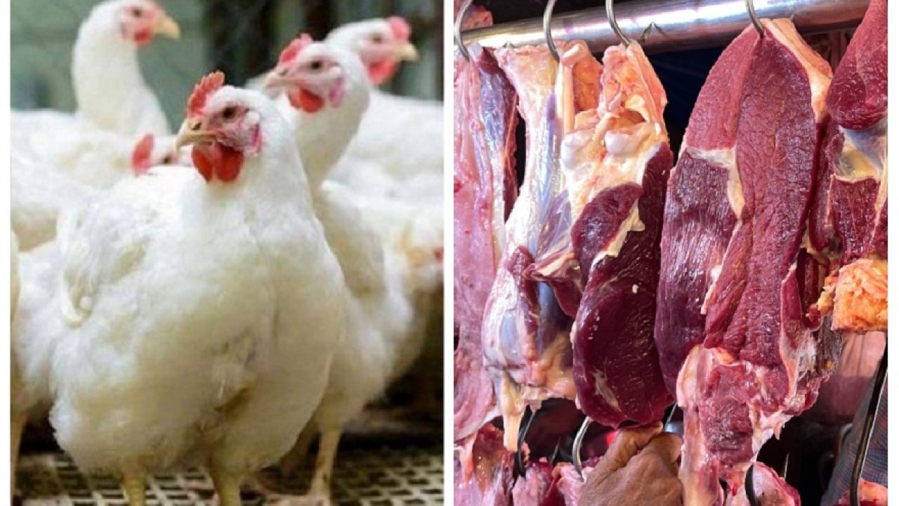 মানা হচ্ছে না নির্দেশনা, বাড়তি দামে বিক্রি হচ্ছে ব্রয়লার মুরগি ও গরুর মাংস