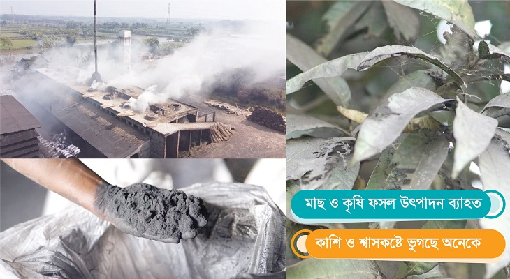 রূপসায় কার্বন কোম্পানির বিষাক্ত ধোয়ায় স্বাস্থ্যঝুঁকিতে ৮ গ্রামের মানুষ