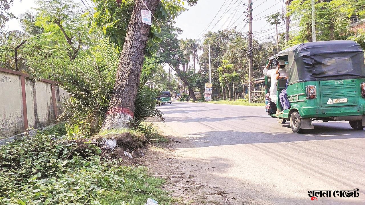 নগরীর আরআরএফ সড়কের পাশের গাছে দুর্ঘটনার শঙ্কা