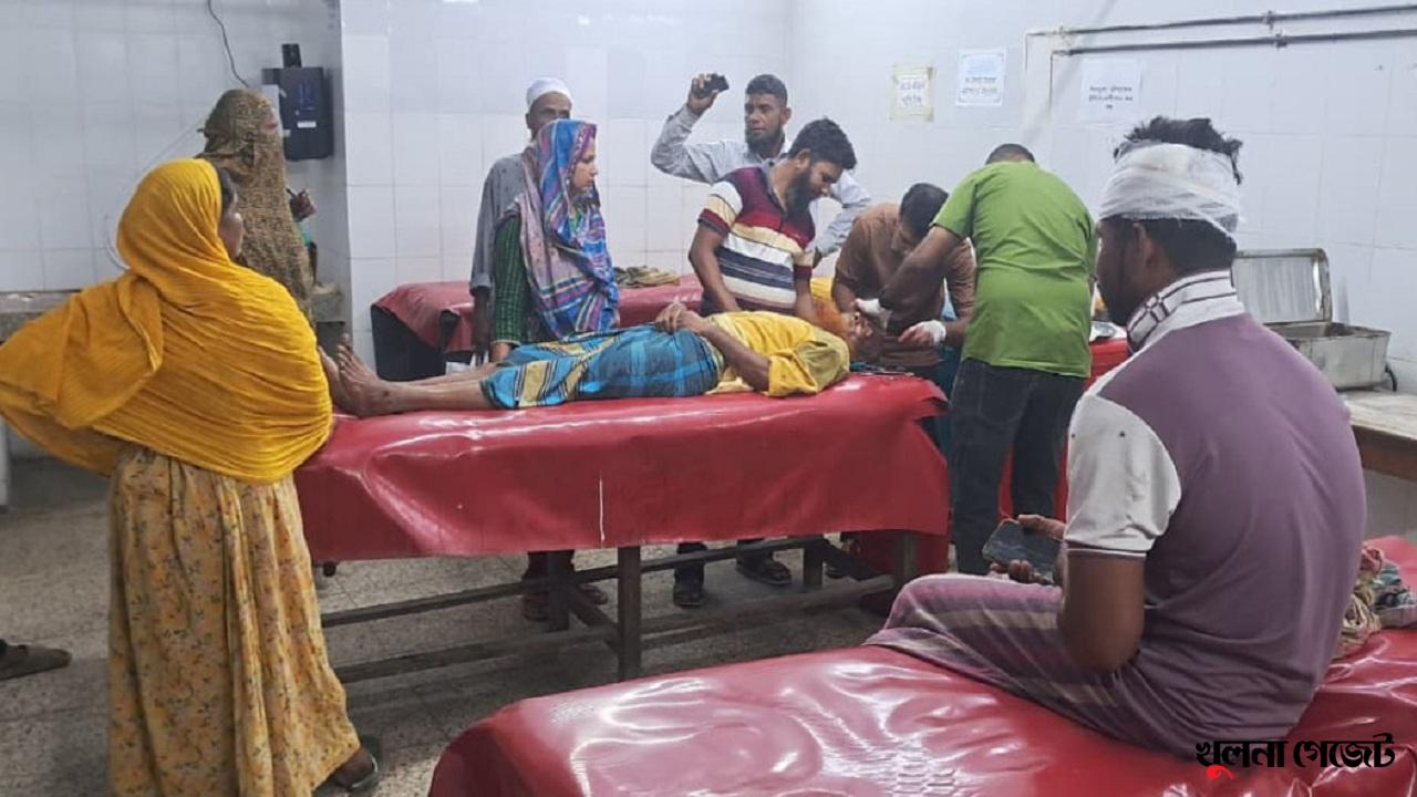 গোপালগঞ্জে জমি-জমা বিরোধের জেরে দুই পক্ষের সংঘর্ষ, নারীসহ আহত ১০