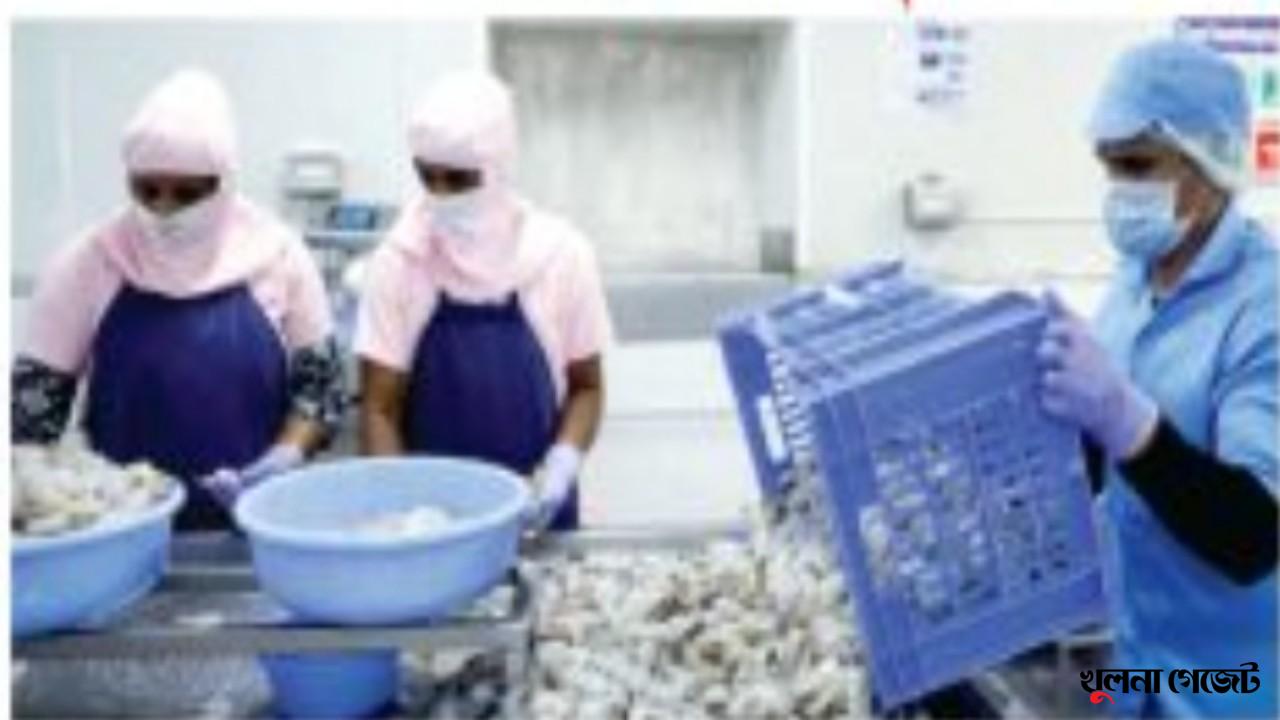 লোডশেডিংয়ে হুমকির মুখে হিমায়িত চিংড়ি শিল্প