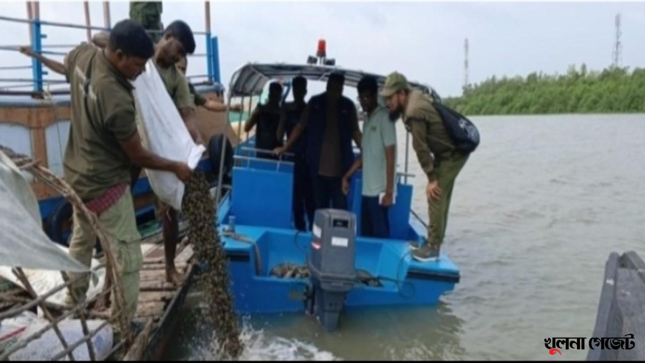 শ্যামনগরে জব্দকৃত শামুক সুন্দরবনের নদীতে অবমুক্ত