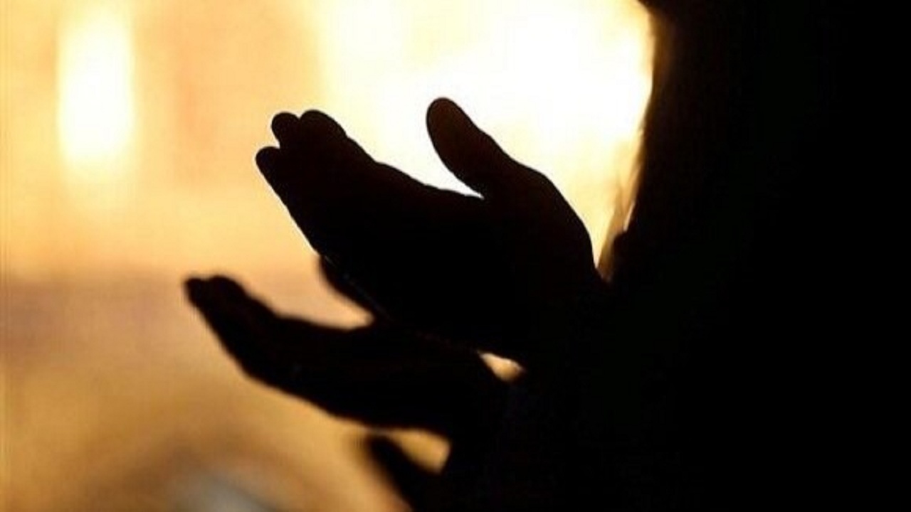 জীবন চক্র