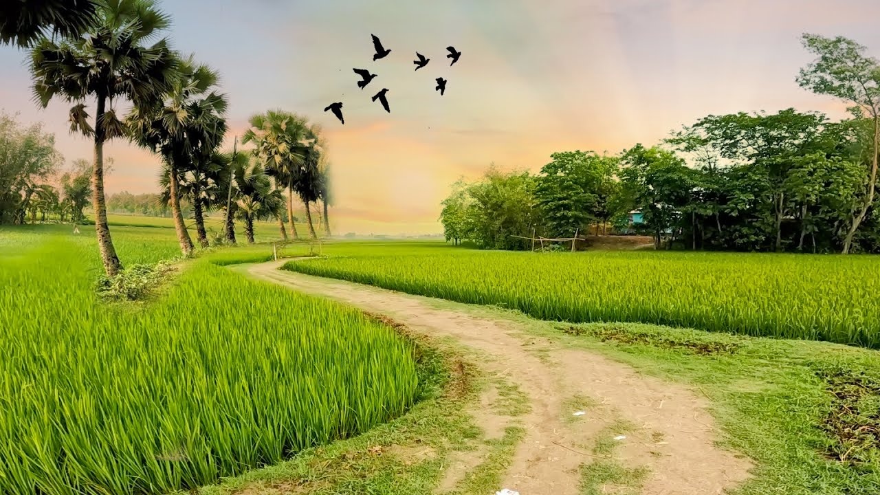 বাংলা মায়ের মুখ