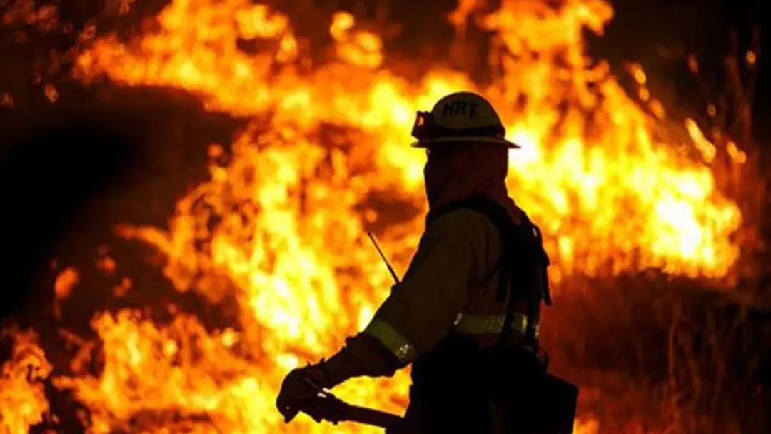 বনানীতে বহুতল ভবনে আগুন, নিয়ন্ত্রণে কাজ করছে ৫ ইউনিট