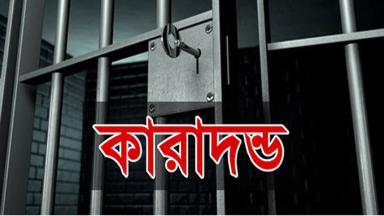 সাতক্ষীরায় কিশোরী ধর্ষণের দায়ে বৃদ্ধের যাবজ্জীবন