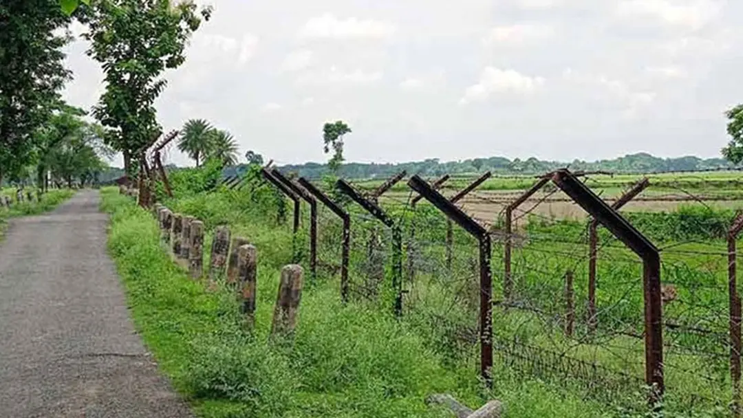 মহেশপুর সীমান্তে তিন বাংলাদেশিকে আটক করেছে বিএসএফ