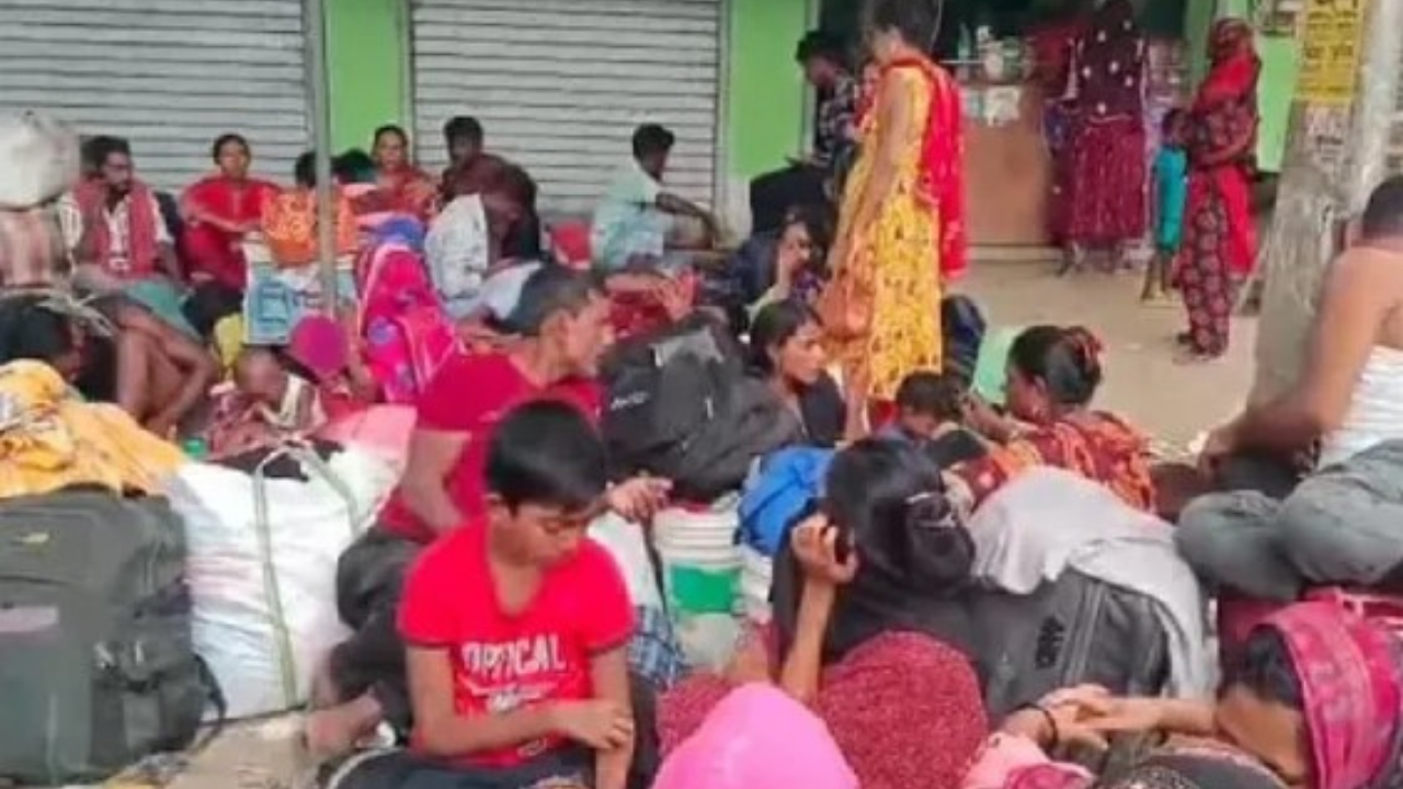 চামড়া পাচার ও পুশইন রোধে সীমান্তে বিজিবির কড়া নজরদারি