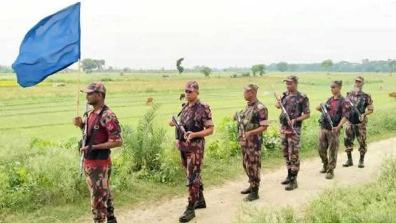 সীমান্তে চামড়া পাচাররোধে সতর্ক বিজিবি, টহল জোরদার