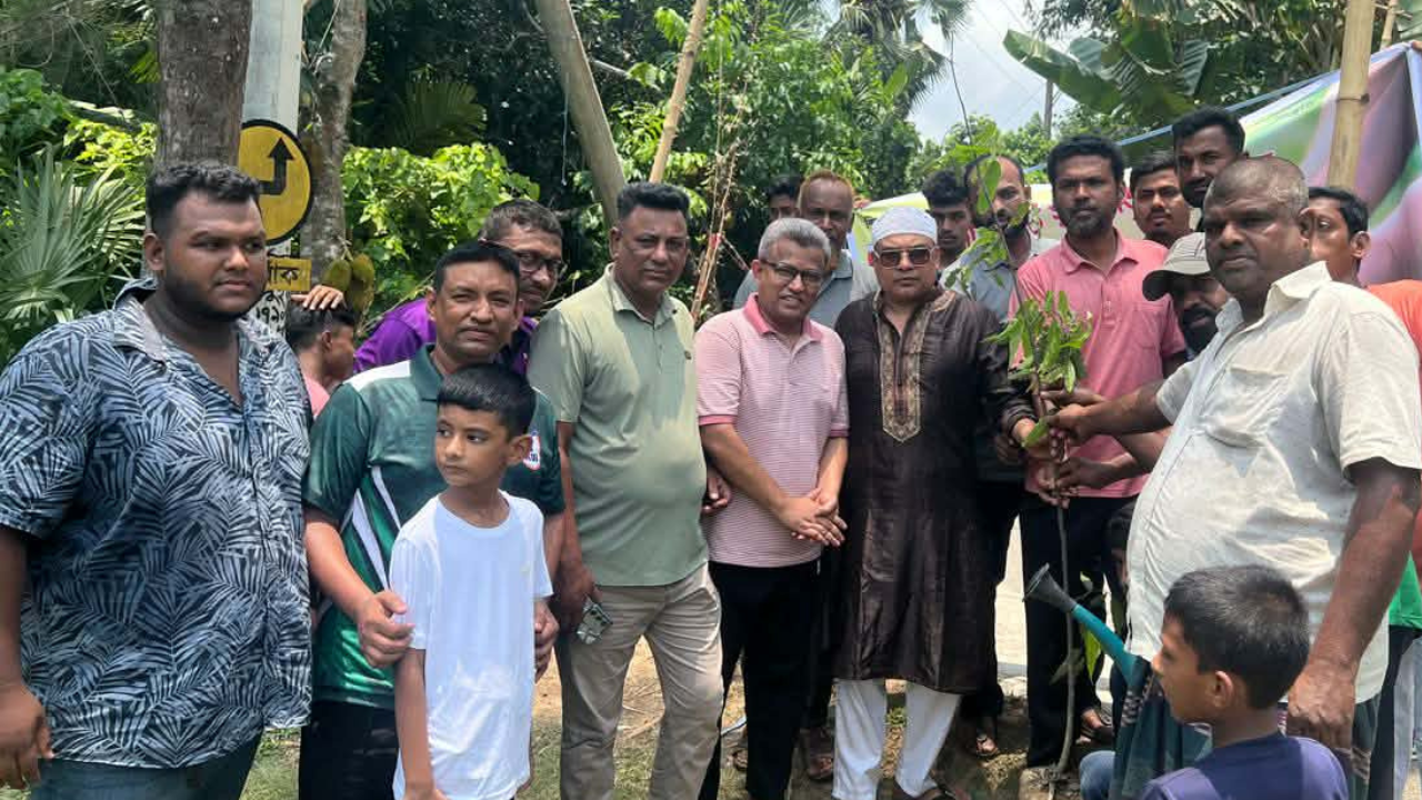 জলবায়ুর অভিঘাত থেকে দেশকে রক্ষার জন্য বেশি বেশি গাছ লাগাতে হবে : বাসস চেয়ারম্যান