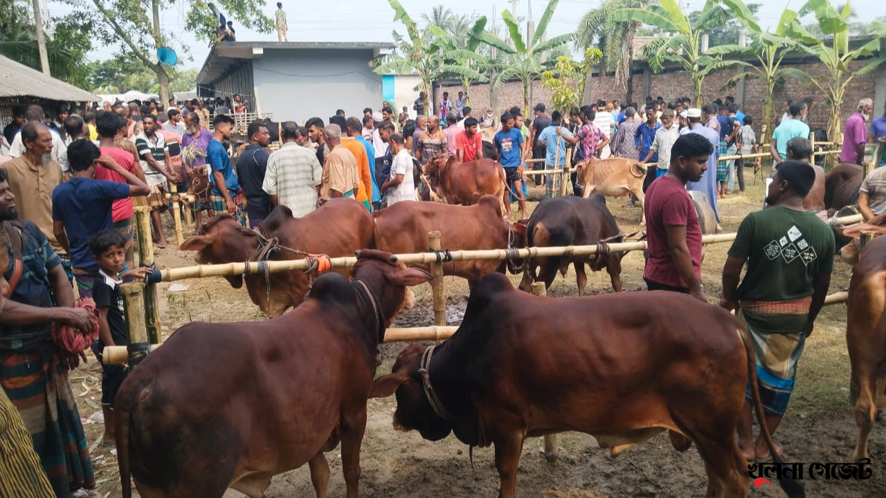 উপকূলের পশুর হাটে শেষ মুহূর্তের ধুম