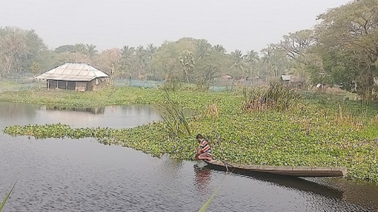 কৃষি দপ্তরের চোখে খুলনার জলাবদ্ধতার ১৫ কারণ