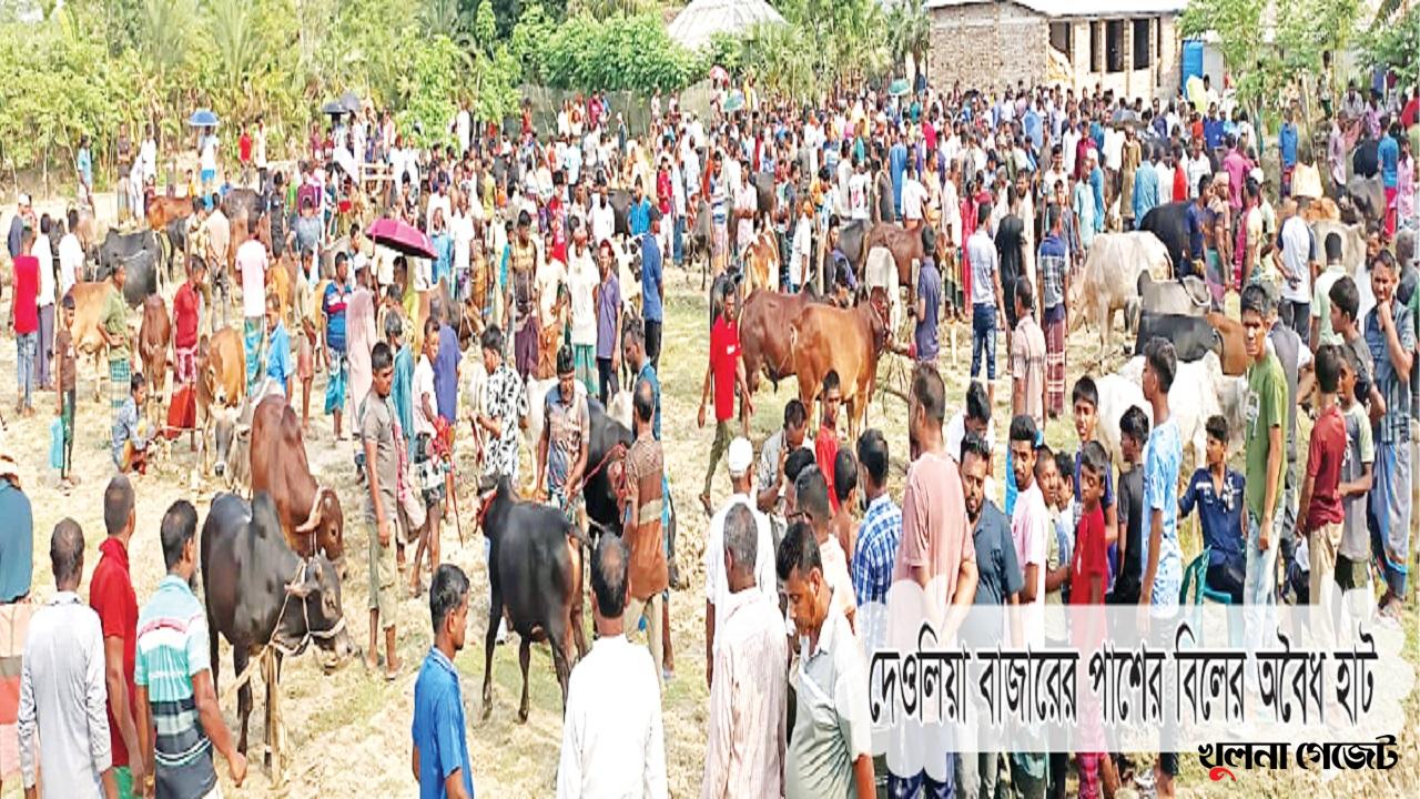 কয়রায় অনুমোদন ছাড়াই পশুর হাট!