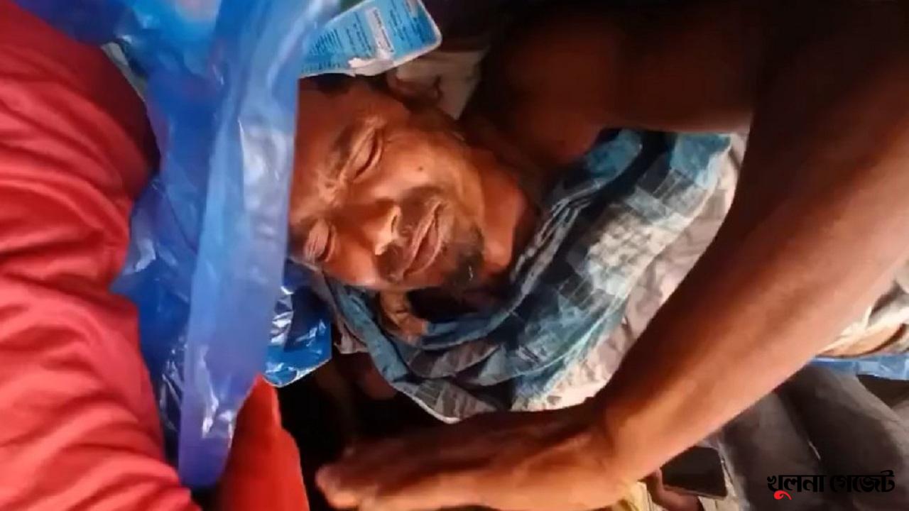 সুন্দরবনে বাঘের আক্রমণে মৌয়াল আহত