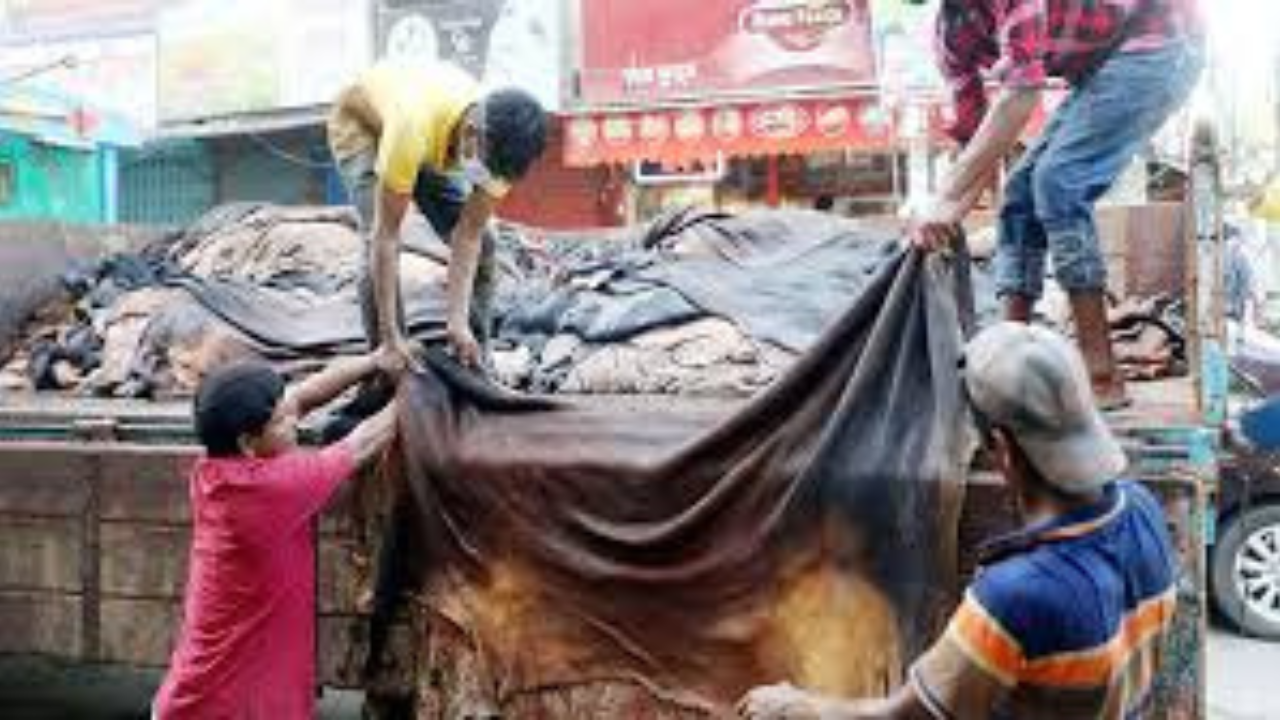 কুরবানির পশুর চামড়ার টাকা কি নিজে খরচ করা যাবে?