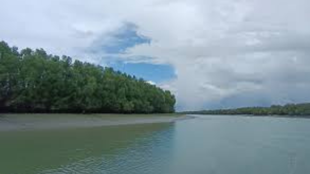 সুন্দরবনে কাঁকড়া শিকারিকে গুলির ঘটনায় তদন্ত কমিটি গঠন