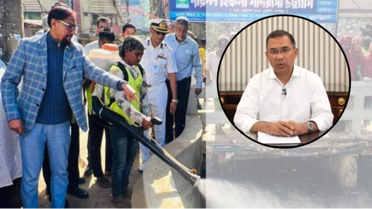 মশা মারা শিখতে আমেরিকা নয়, সন্ধ্যার পর ডোবার পাশে দাঁড়াতে মেয়রকে পরামর্শ প্রধানমন্ত্রীর