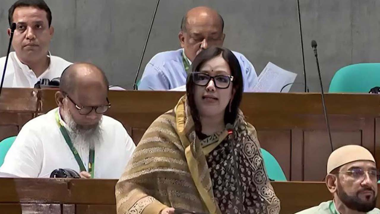 বাজেটে সামষ্টিক অর্থনৈতিক চাপ, ডিসি নিয়োগে ক্ষোভ রুমিন ফারহানার