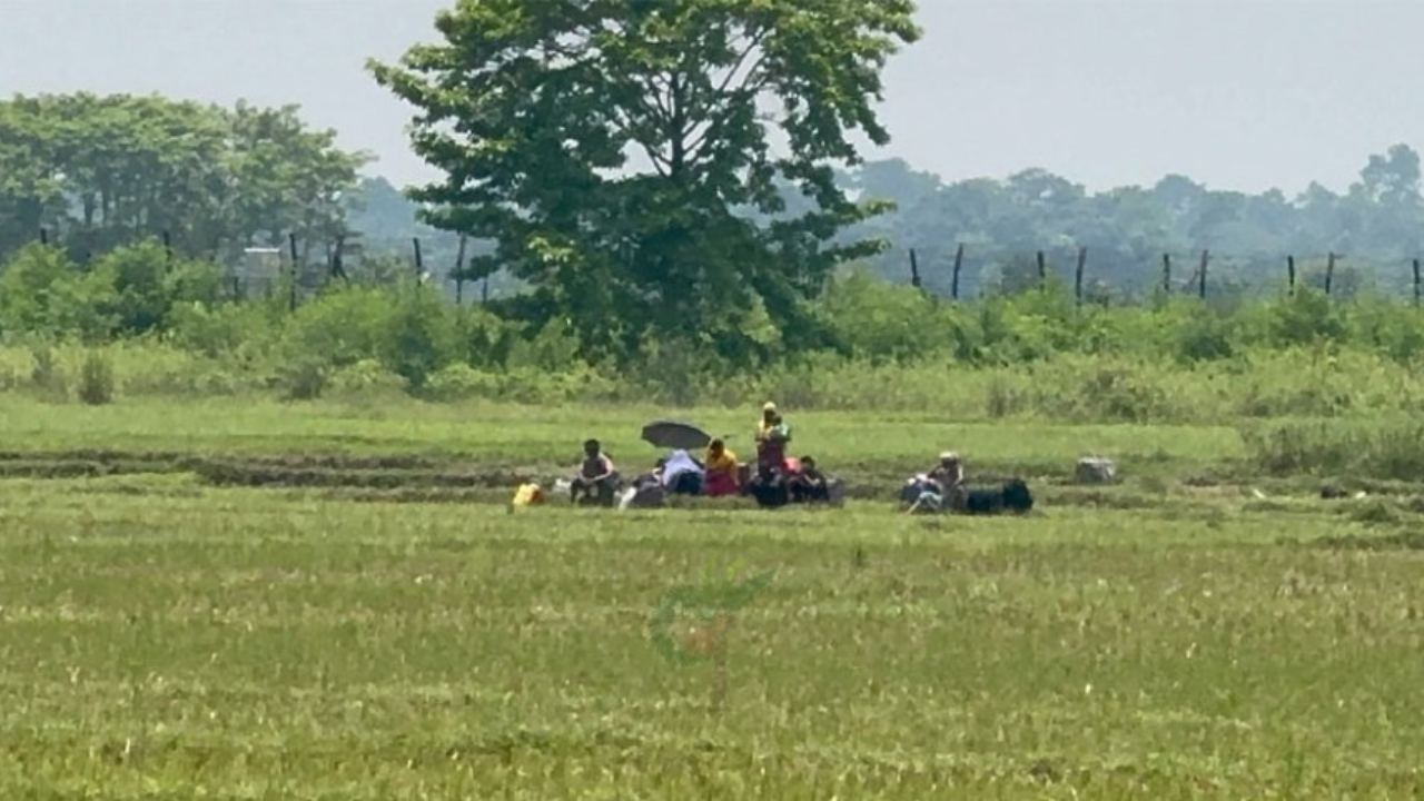 বেনাপোল সীমান্তে পুশইনের চেষ্টা ব্যর্থ, তিনদিন পর ১৫ জনকে ফিরিয়ে নিল বিএসএফ