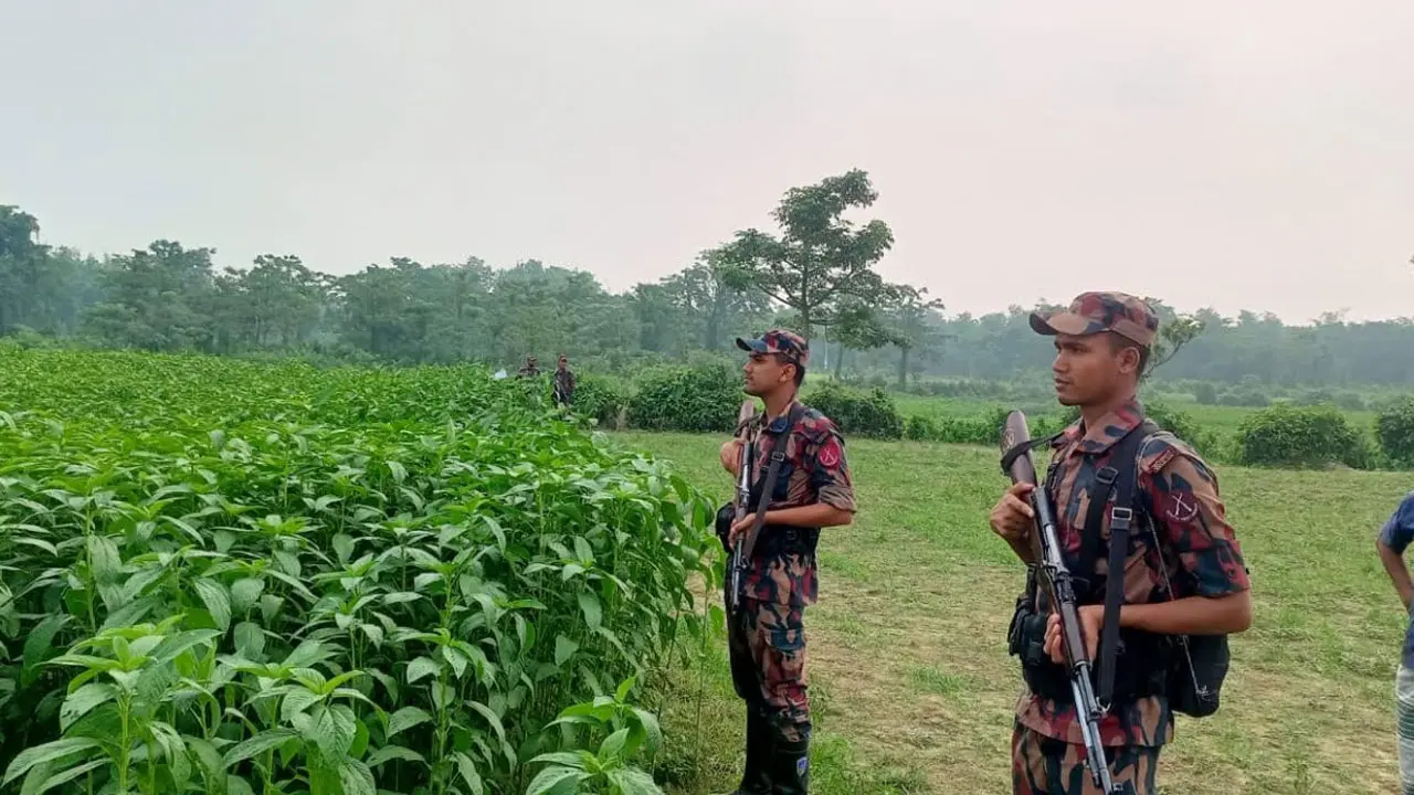মেহেরপুর সীমান্তে পুশ ইন ব্যর্থ, শূন্যরেখা থেকে ৬ জন উধাও