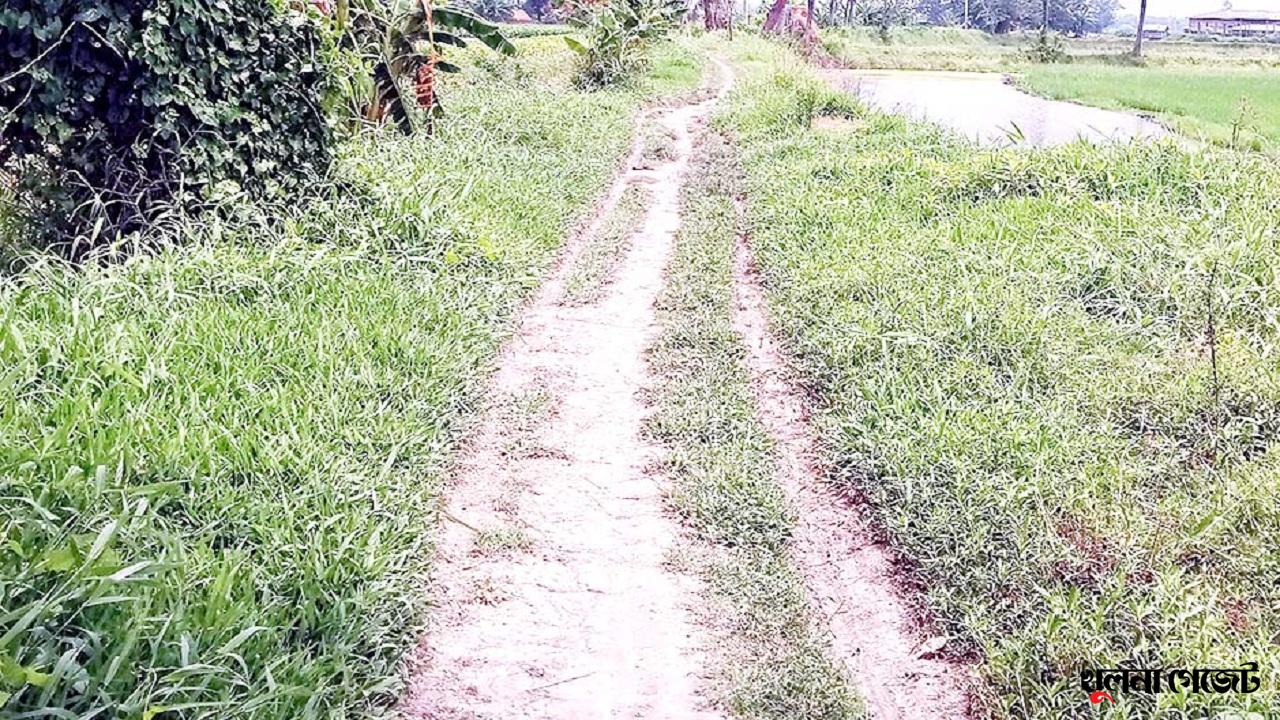 ৪৬ বছরেও উন্নয়নের ছোঁয়া লাগেনি ডুমুরিয়ার কেয়ার রাস্তায়!