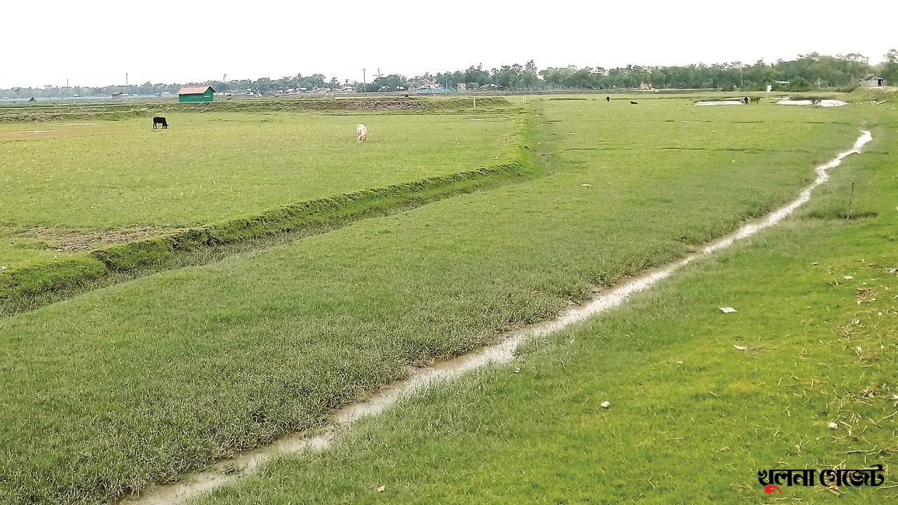 শৈলমারী নদী দখলে মেতে উঠেছে অসাধু চক্র, জলাবদ্ধতা আতঙ্কে বিলডাকাতিয়াসহ ডুমুরিয়াবাসী
