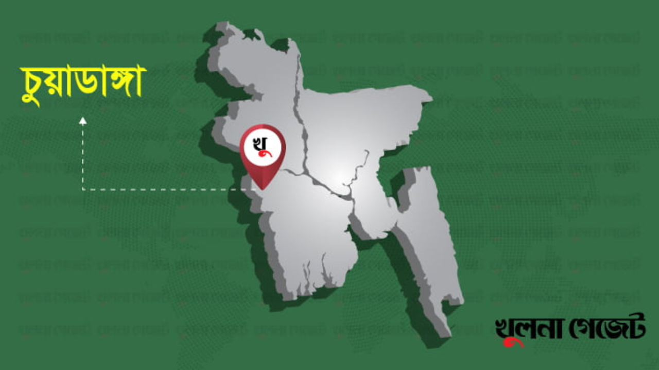 চুয়াডাঙ্গা সীমান্ত দিয়ে ১১ জনকে পুশইনের চেষ্টা, বিজিবি’র বাধা