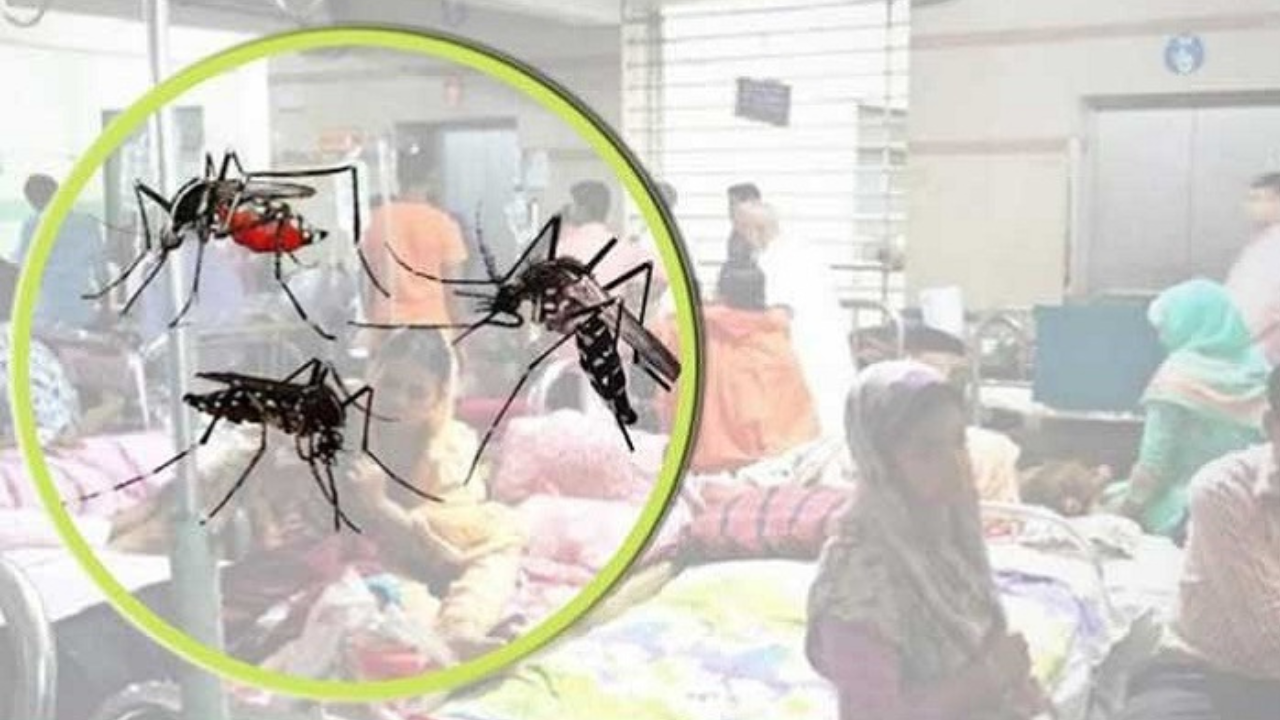 ডেঙ্গুতে একদিনে পাঁচ জনের মৃত্যু