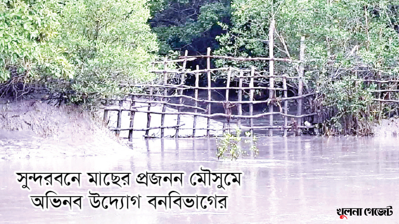 অবৈধ প্রবেশ ও চুরি ঠেকাতে খালে বেড়া